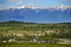 Forest Crowne Aerial