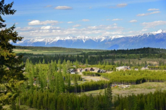 Forest Crowne Aerial
